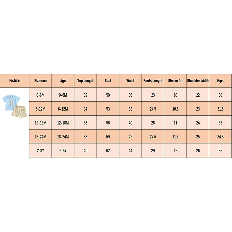2024-11-25 Lioraitiin 0-3Y Toddler Baby Boy Easter Outfit Bunny/Cross Short Sleeve T-shirt Plaid Shorts 2pcs Summer Set