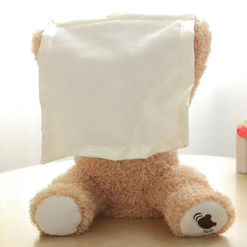Bear Hide and Seek Toy Baby Bumpity Boo