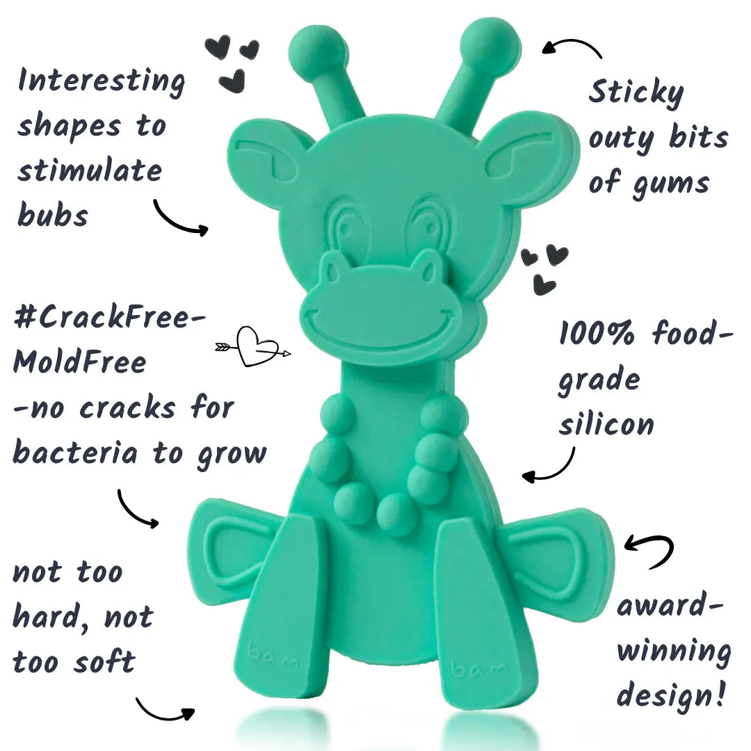 Little bamBAM Baby Teething Toy – Natural Rubber & Baltic Amber