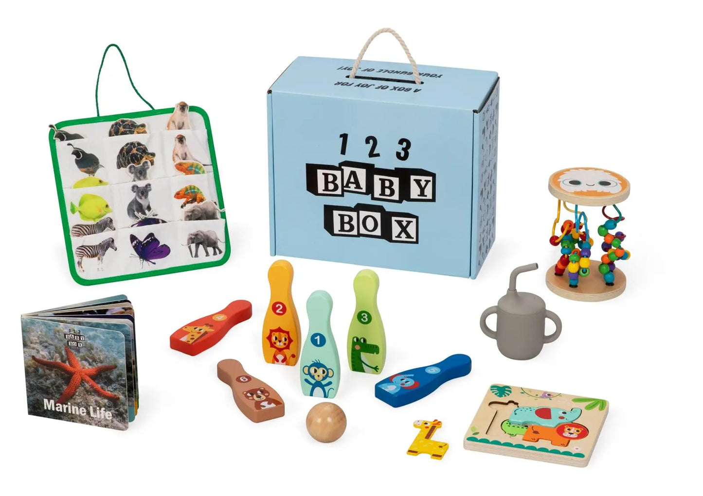 Montessori Educational Box