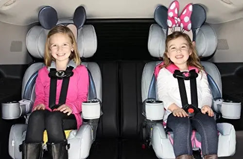 KidsEmbrace 2-in-1 Car Seat