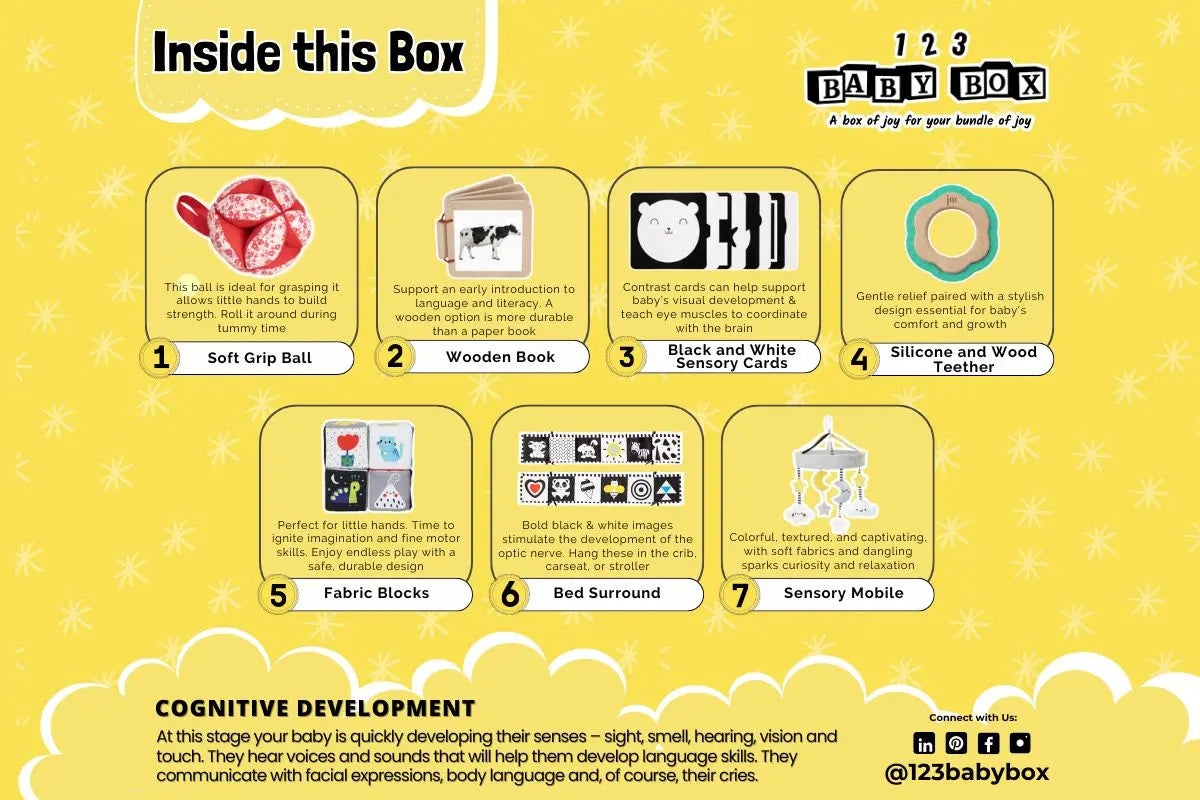 Montessori Educational Box