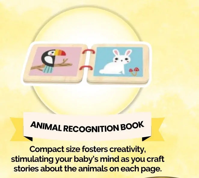 Montessori Educational Box