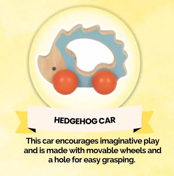 Montessori Educational Box
