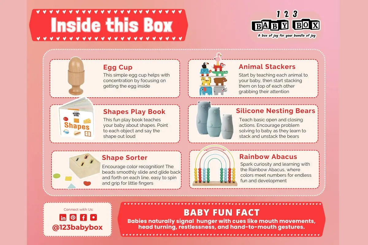 Montessori Educational Box