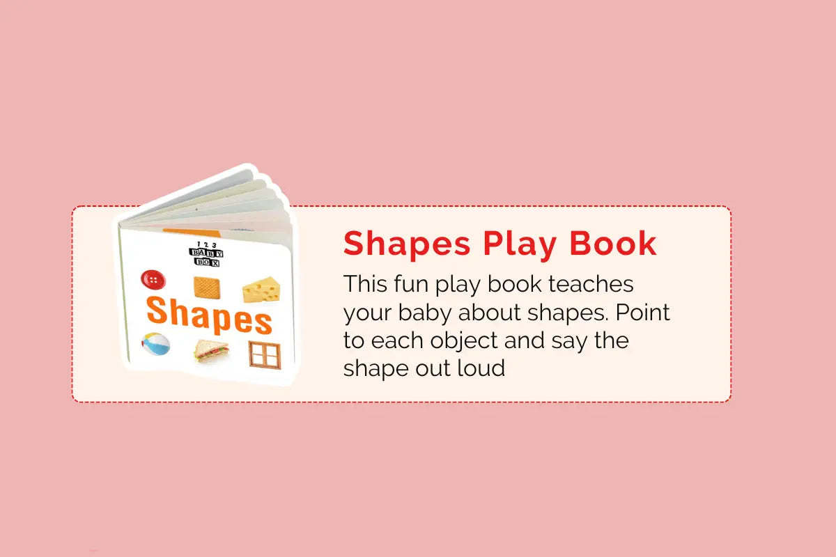 Montessori Educational Box