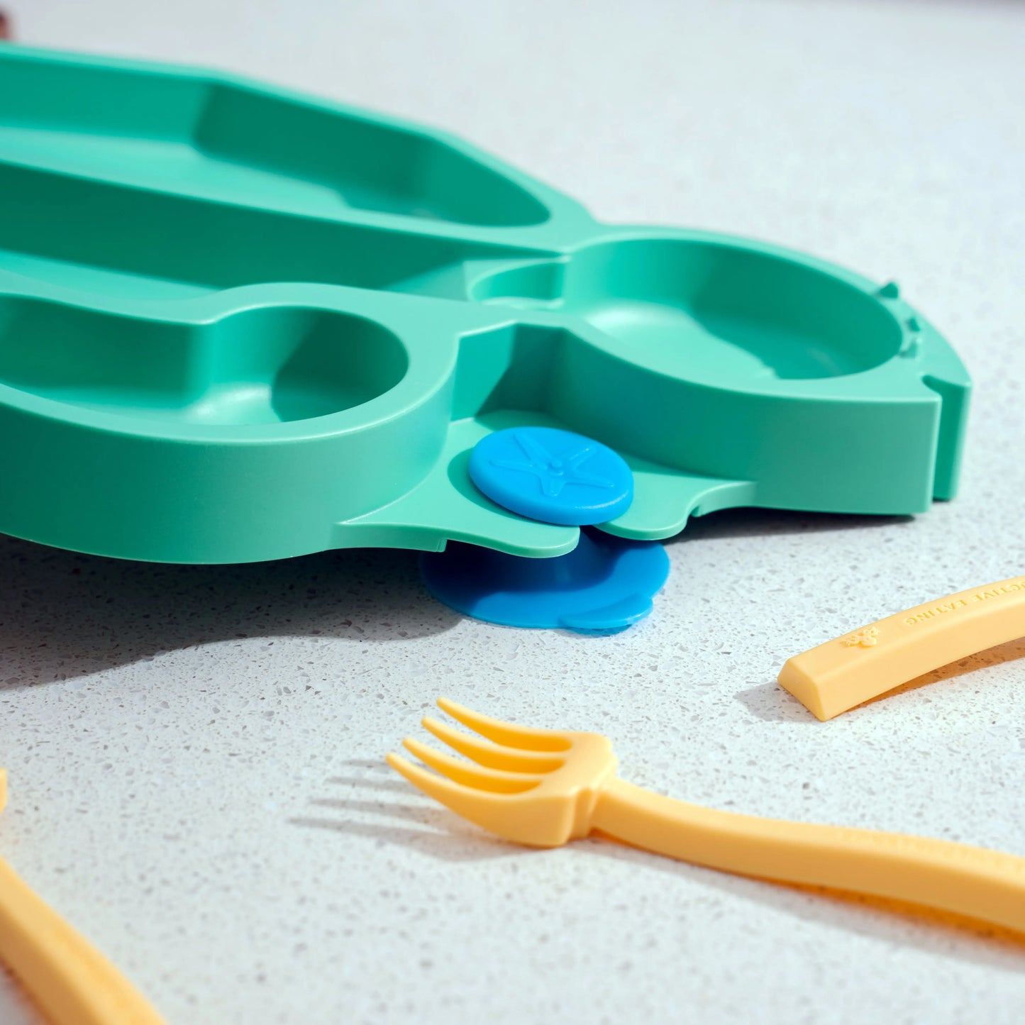Turtle Training Plate and Utensils