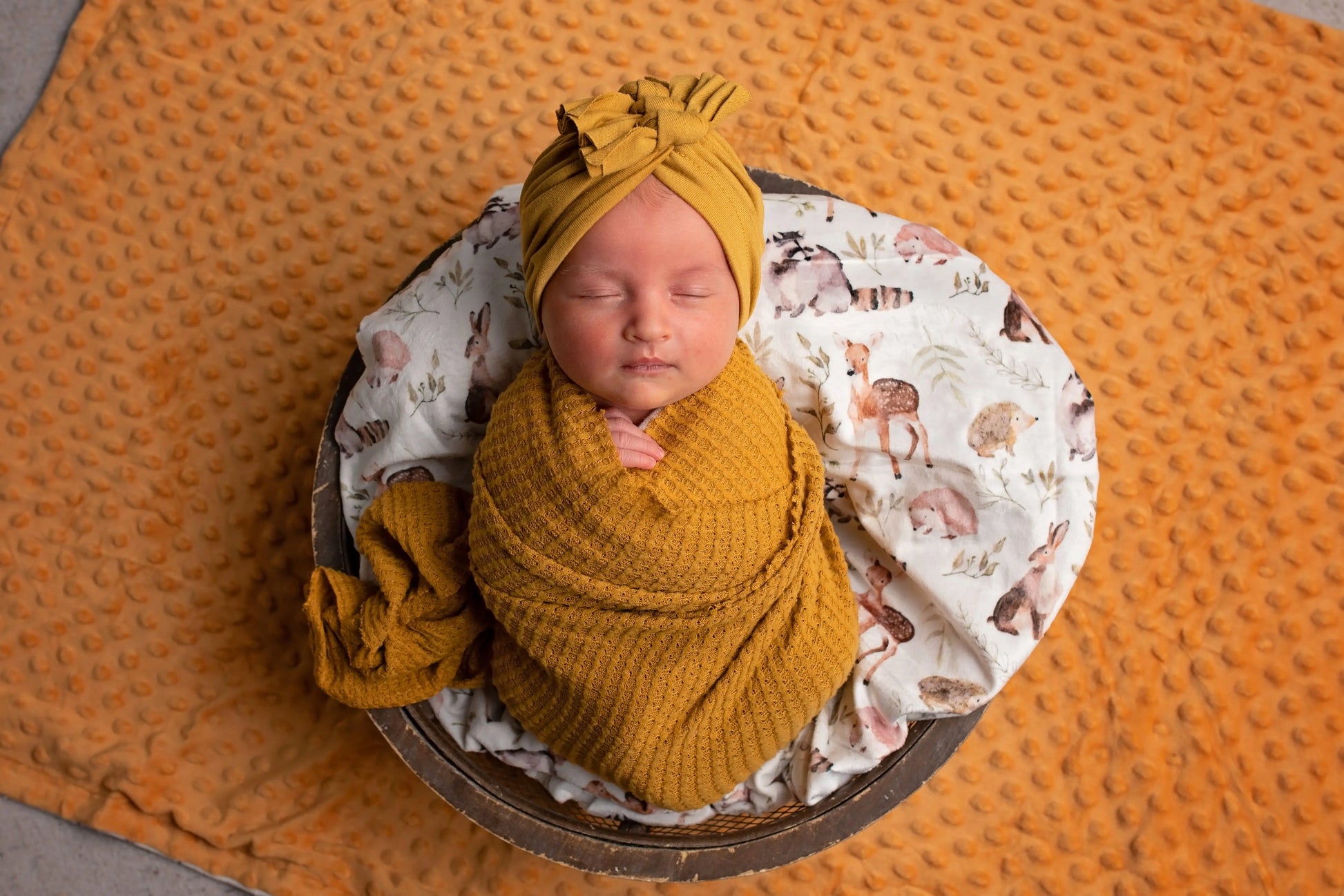 Forest Friends Minky Blanket Growing Sprouts