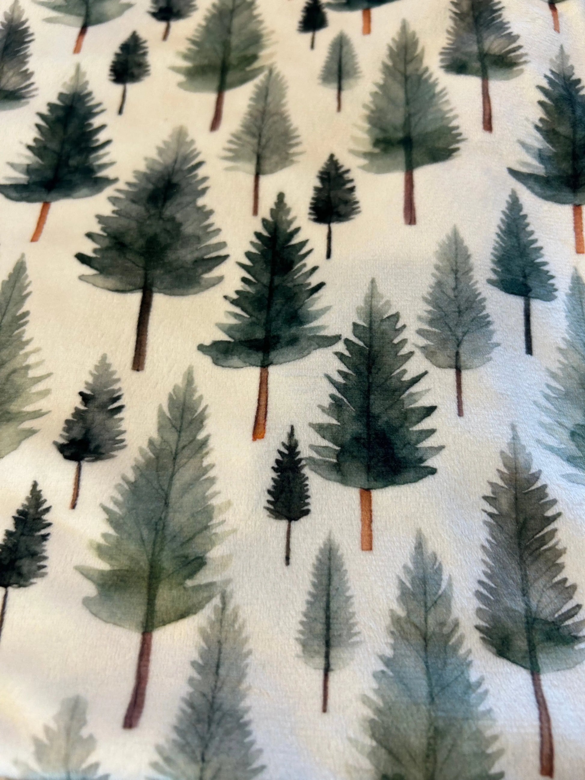 Woodland Whispers Minky Blanket Growing Sprouts