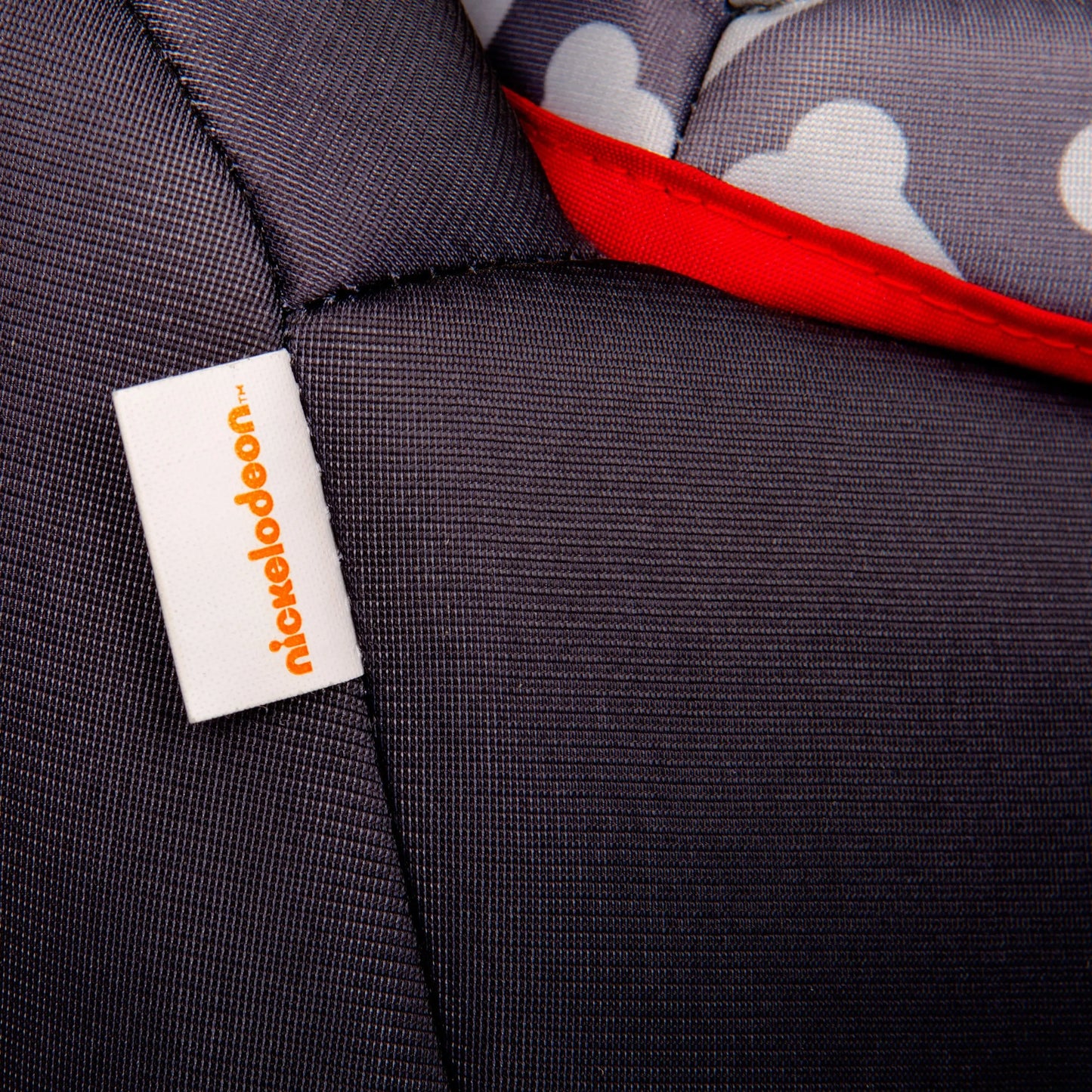 KidsEmbrace 2-in-1 Car Seat