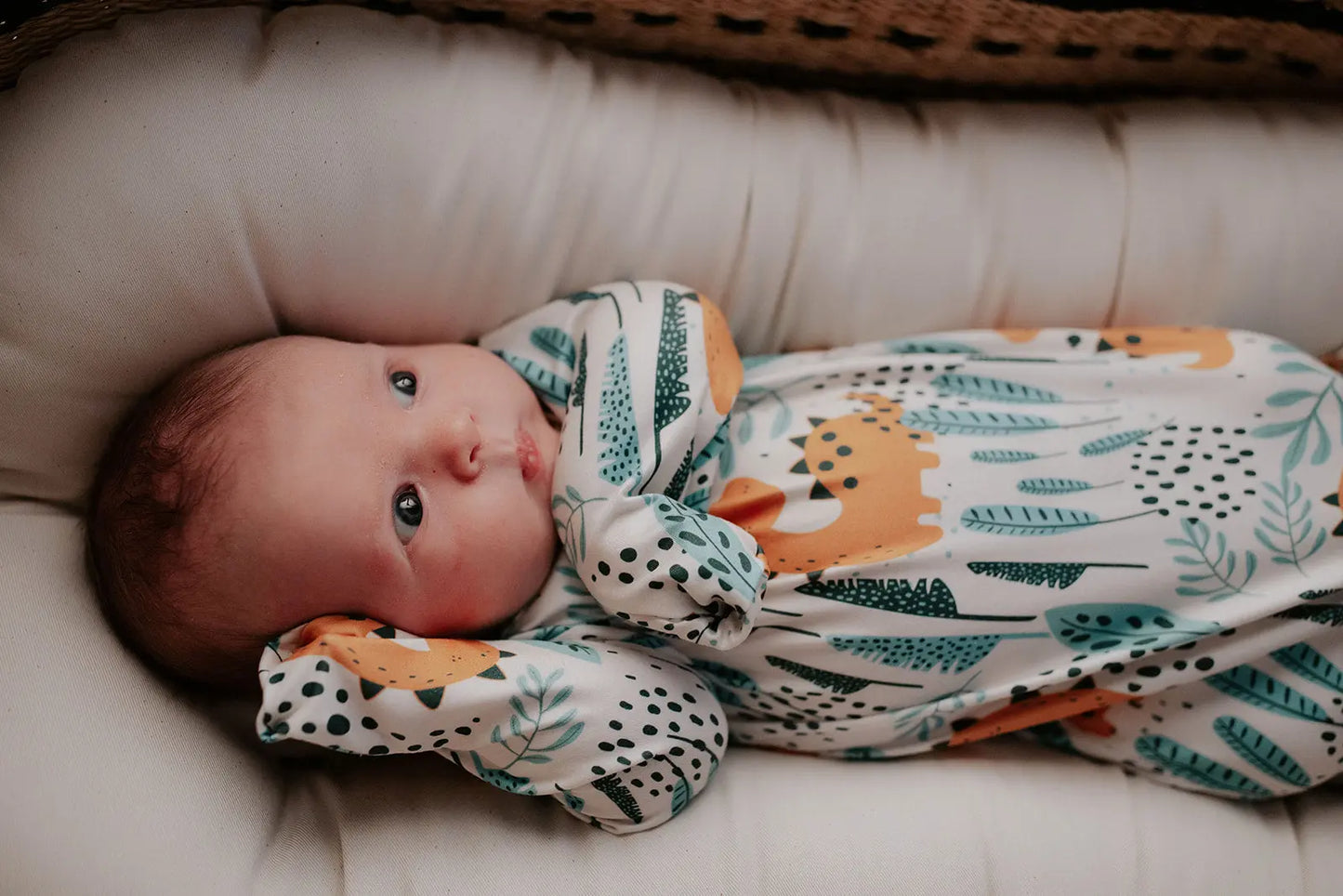 Dinosaur Themed Newborn Knotted Gown Three Little Tots