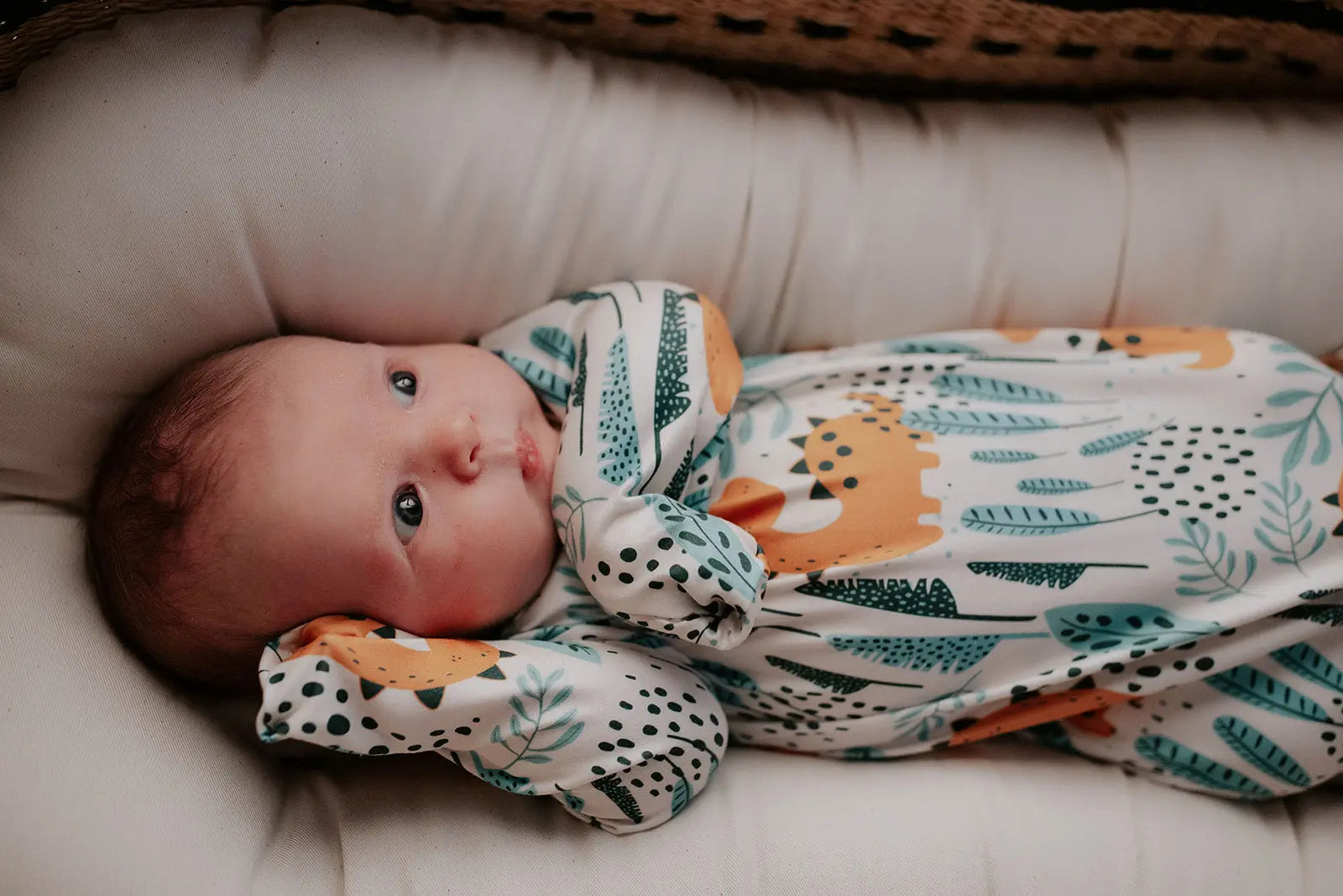 Dinosaur Themed Newborn Knotted Gown Three Little Tots