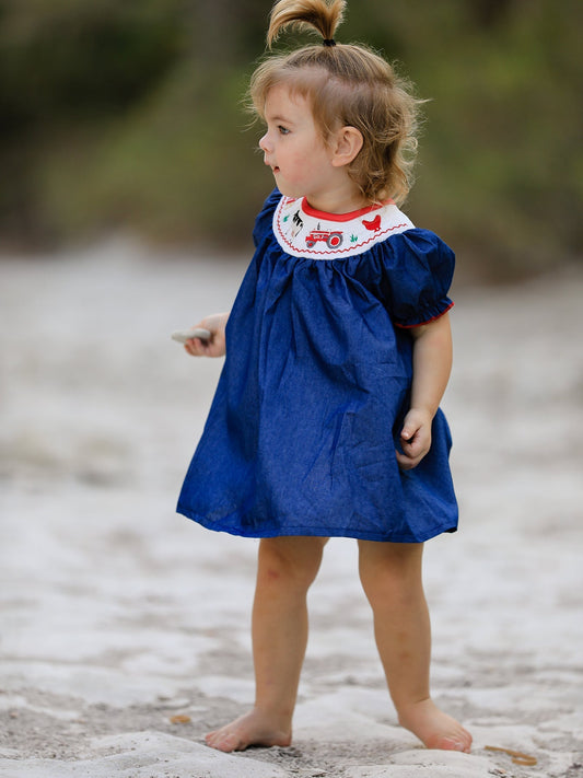 Girls Farm Smocking Embroidered Blue Dress Rylee Faith Designs