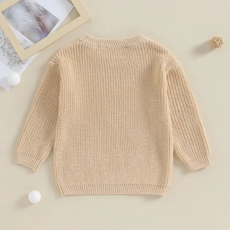 Lioraitiin 0-18M Baby Boys Sweater Letter Embroidery Crew Neck Long Sleeve Pullovers Fall Toddler Clothes Tops