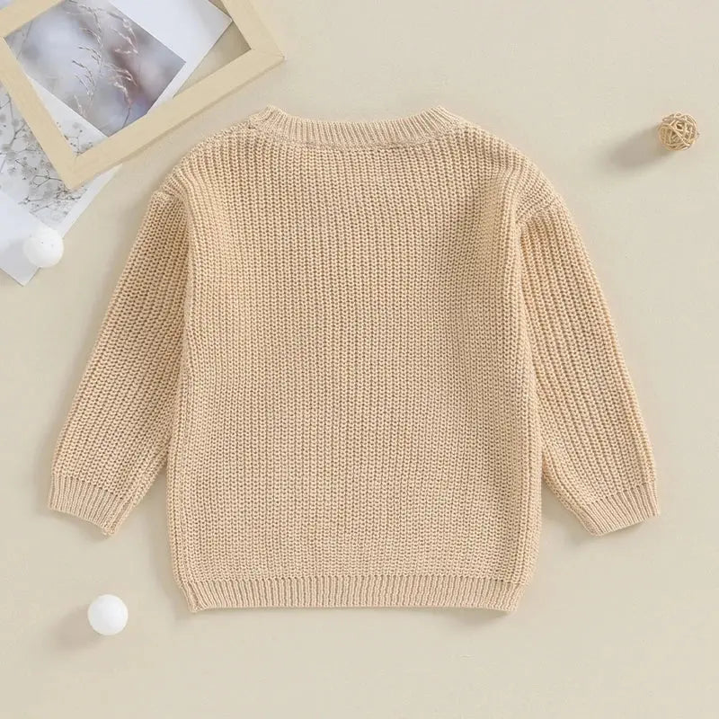 Lioraitiin 0-18M Baby Boys Sweater Letter Embroidery Crew Neck Long Sleeve Pullovers Fall Toddler Clothes Tops