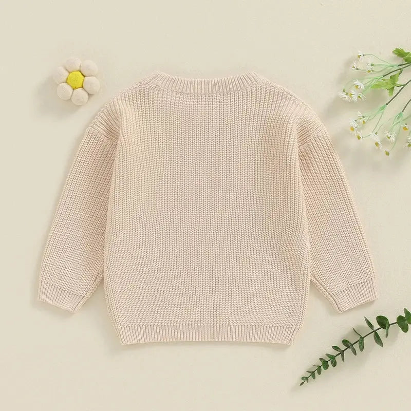 Big Sister Sweaters Cute Long Sleeve Letter Embroidery Knit Pullover Toddler Loose Tops