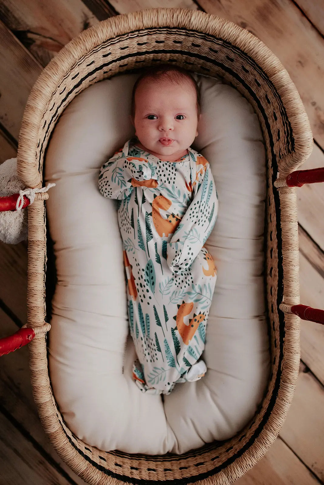 Dinosaur Themed Newborn Knotted Gown Three Little Tots