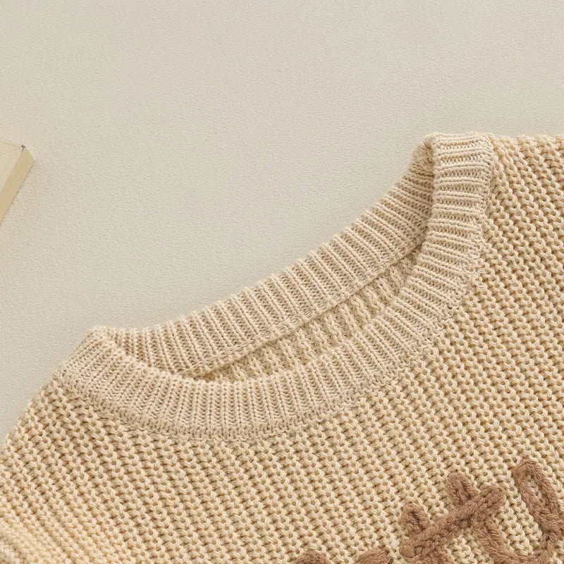 Lioraitiin 0-18M Baby Boys Sweater Letter Embroidery Crew Neck Long Sleeve Pullovers Fall Toddler Clothes Tops