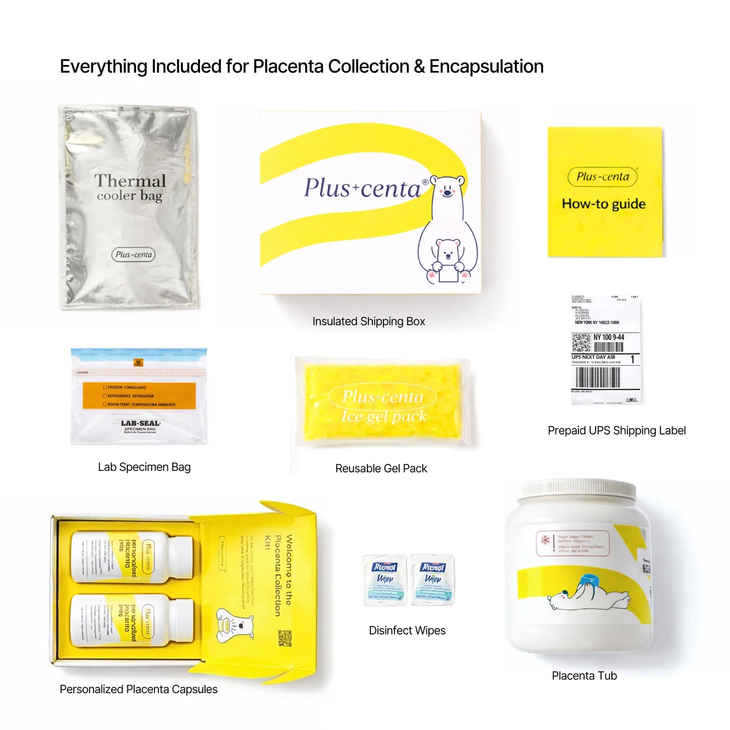 Kit de Encapsulación de Placenta en Laboratorio | Pluscenta