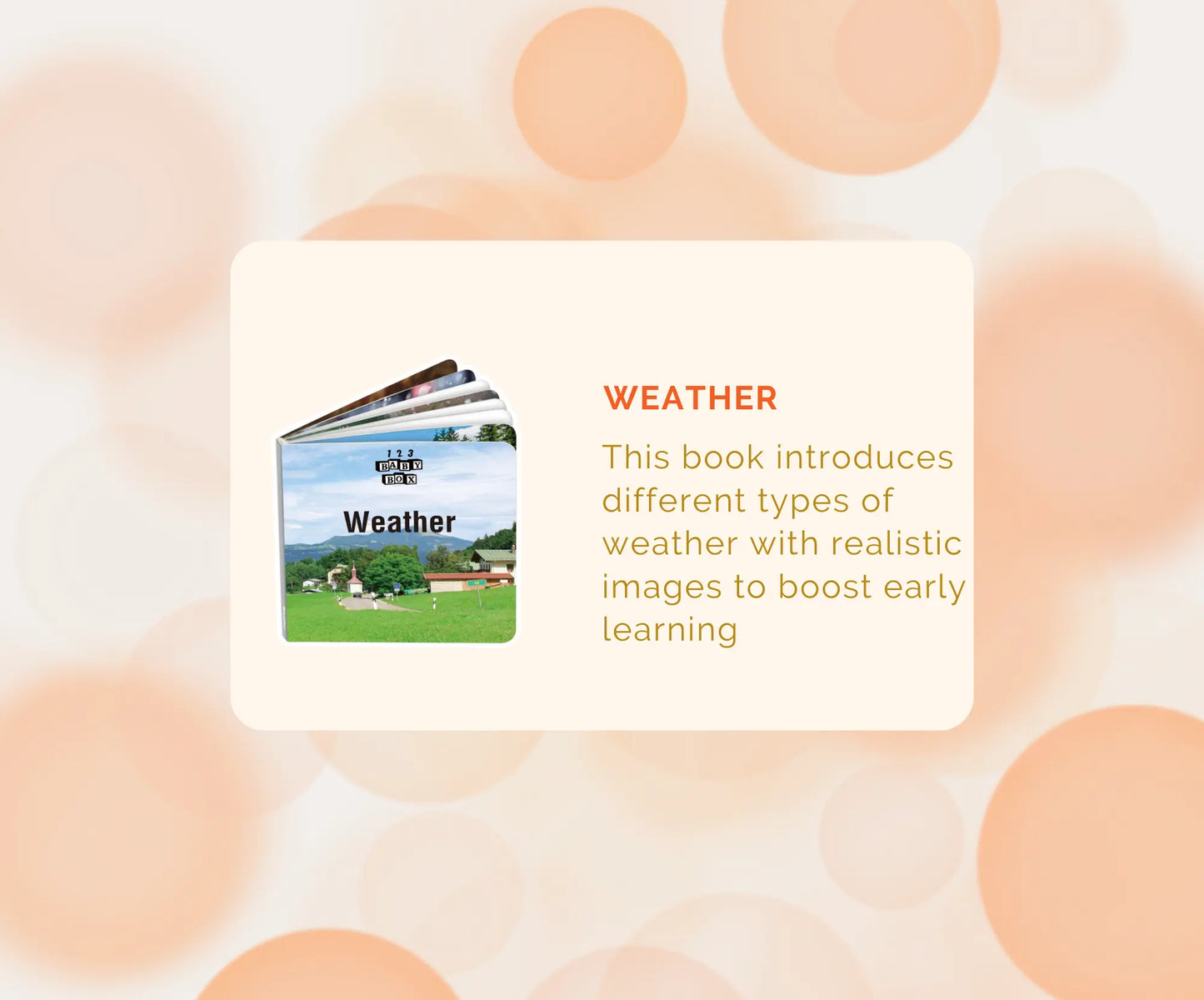 Montessori Educational Box