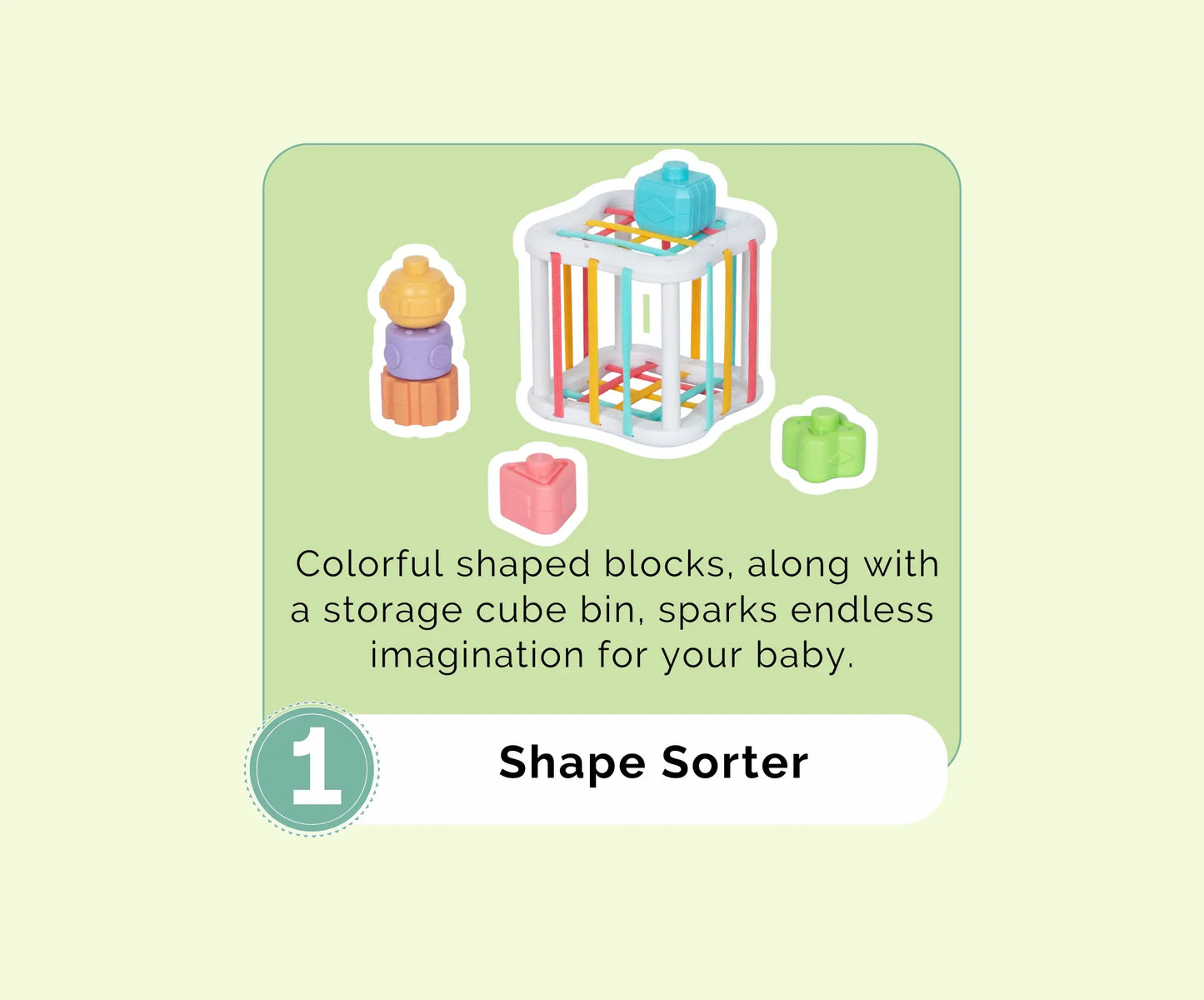 Montessori Educational Box