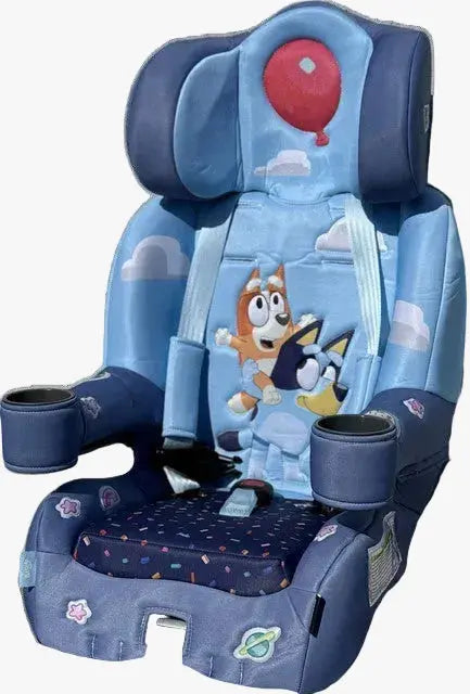 KidsEmbrace 2-in-1 Car Seat