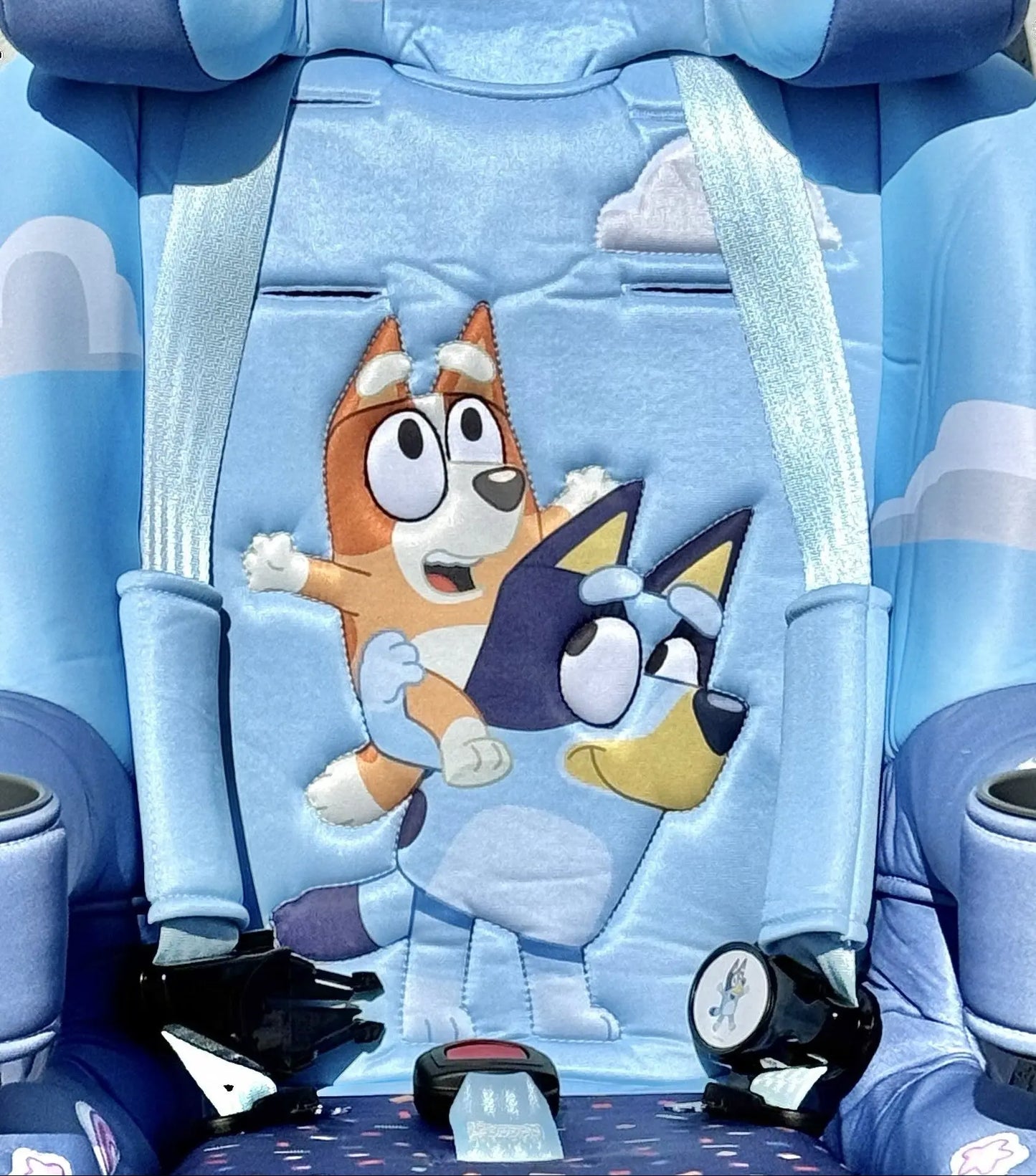 KidsEmbrace 2-in-1 Car Seat