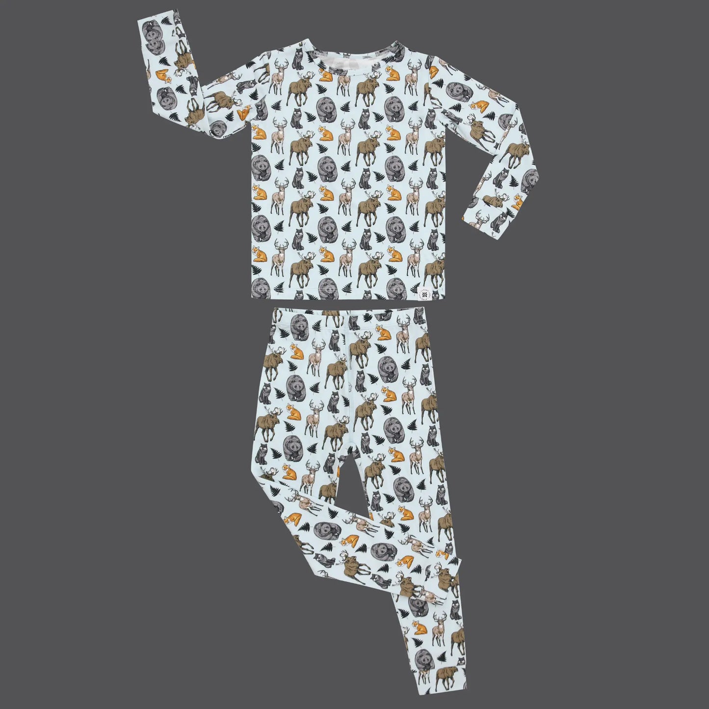 Boys · Adventure/Nature Big Kid Pajama