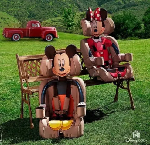 KidsEmbrace 2-in-1 Car Seat