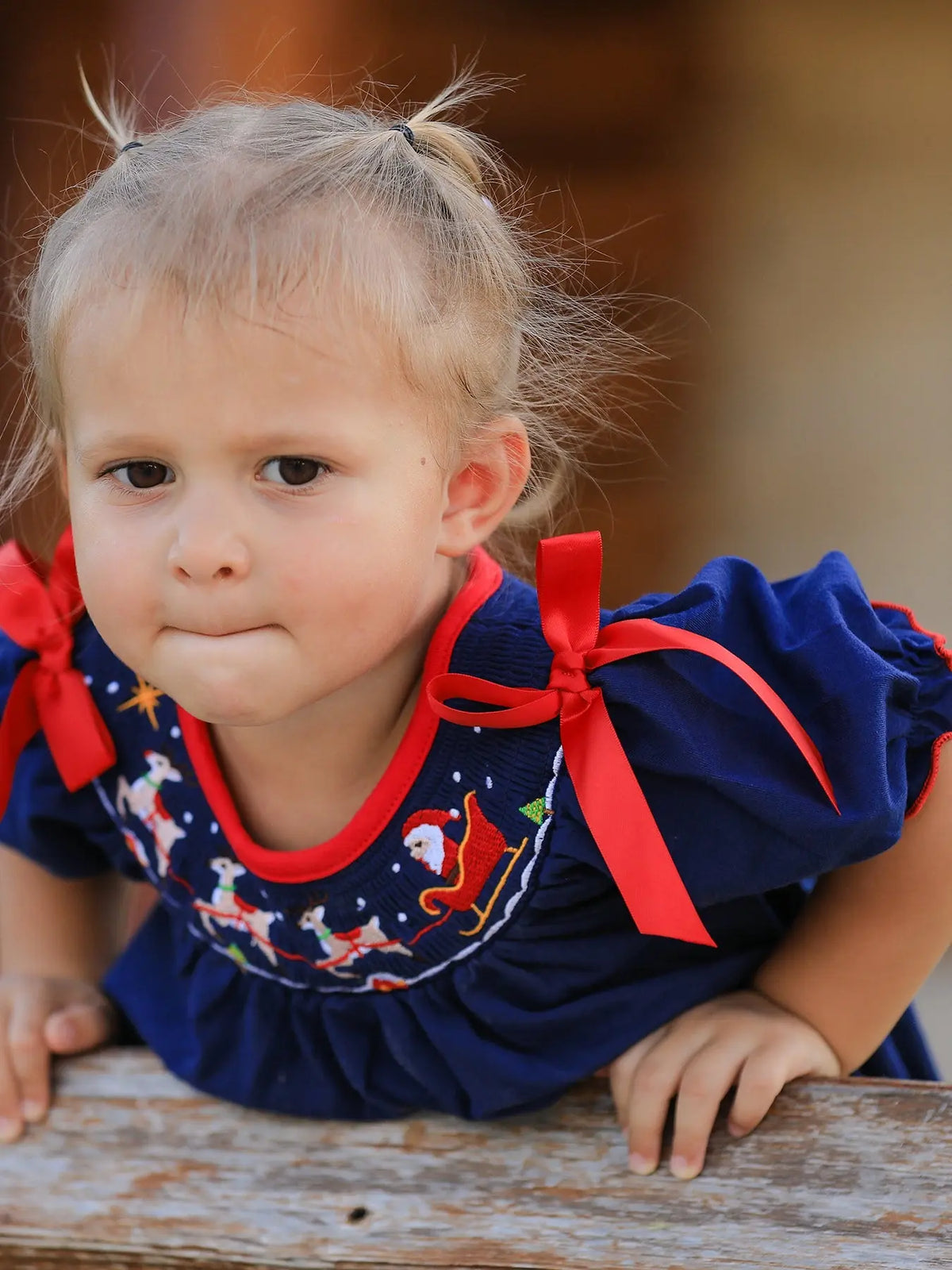 Christmas  Holiday Celebration Dress: Navy with Santa Sleigh Rylee Faith Designs