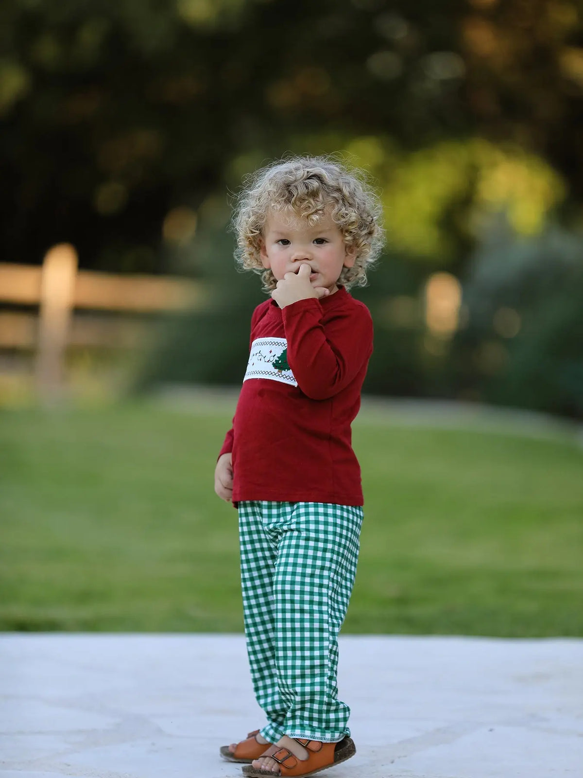 Christmas Tree Dog Smocking Embroidered  Plaid Boys Set Rylee Faith Designs