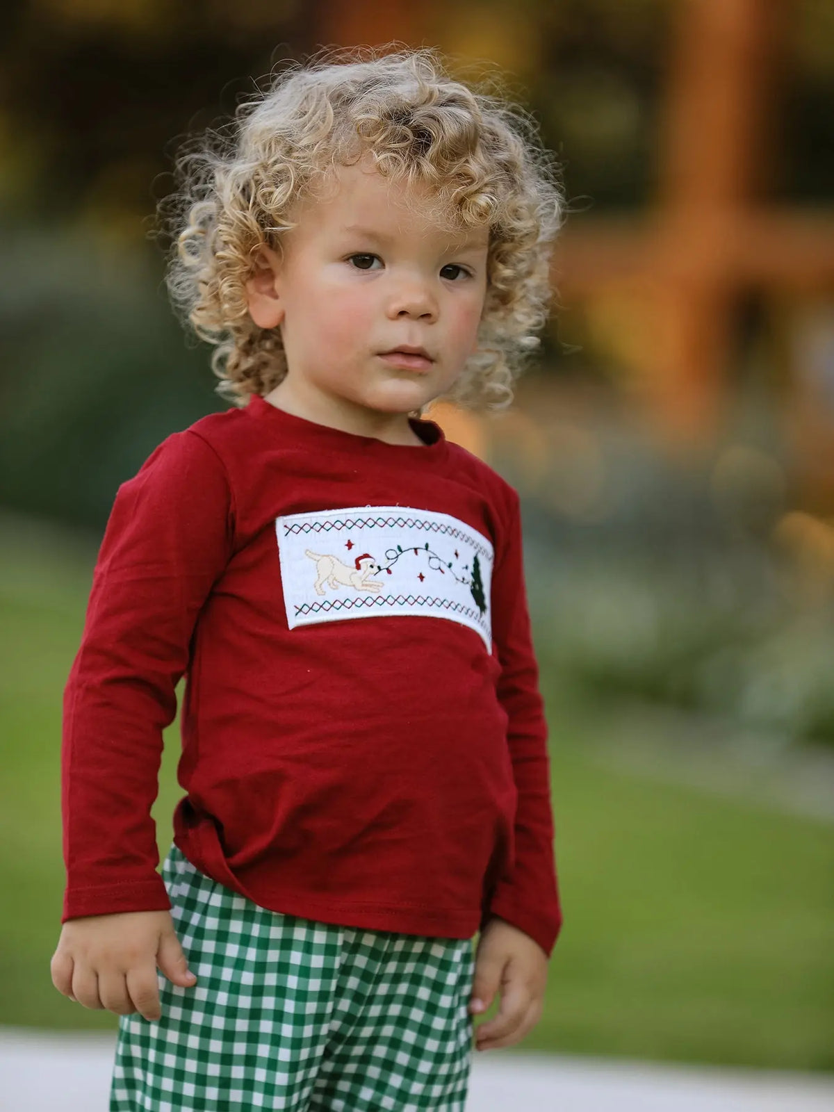 Christmas Tree Dog Smocking Embroidered  Plaid Boys Set Rylee Faith Designs